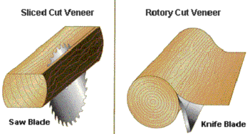 Engineered Wood Veener