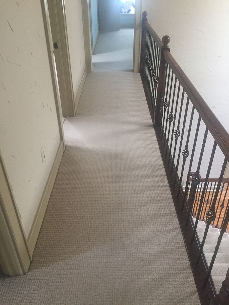 Carpet Removal & Hardwood Installation